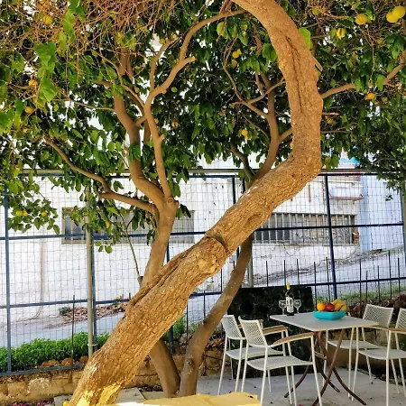 Amazing 100 Meters From The Old Town Rhodes City