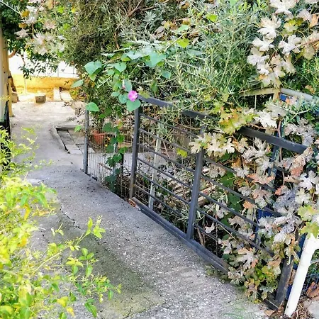 Amazing 100 Meters From The Old Town Appartement *